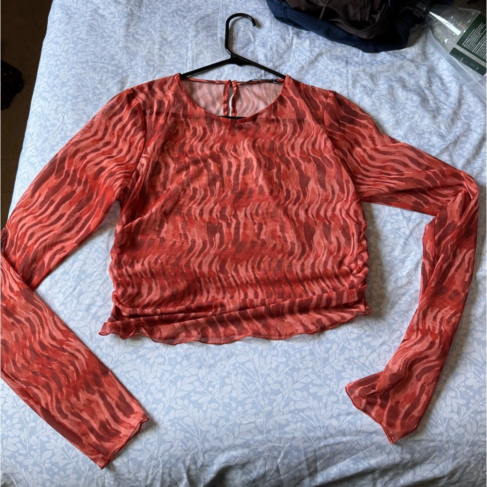 ZARA Long Sleeve See Through Top